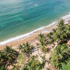The Slow Vegan Hotel